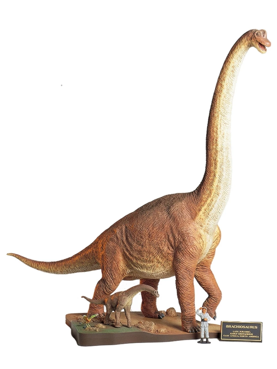 Tamiya 60106 - Brachiosaurus Diorama Set - 1:35 Scale Kit 1 Tamiya 60106 - Brachiosaurus Diorama Set - 1:35 Scale Kit
